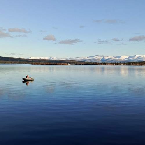 Photo #12103466