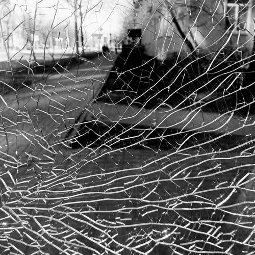 Photo #12103528