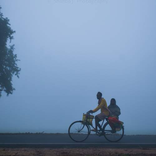 Photo #12103536
