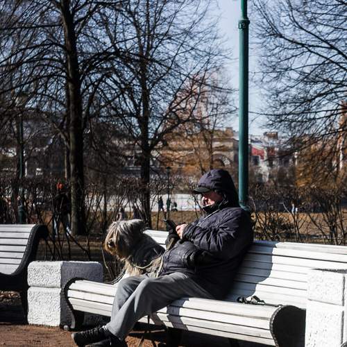 Photo #12103544