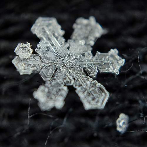 Photo #12103569
