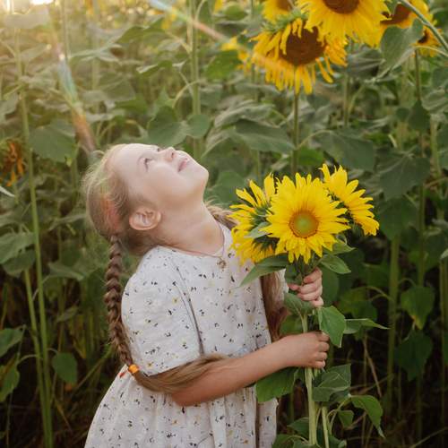 Photo #12103646