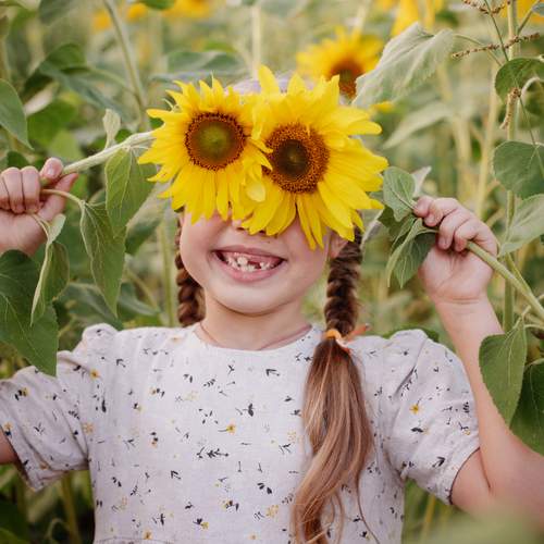 Photo #12103647
