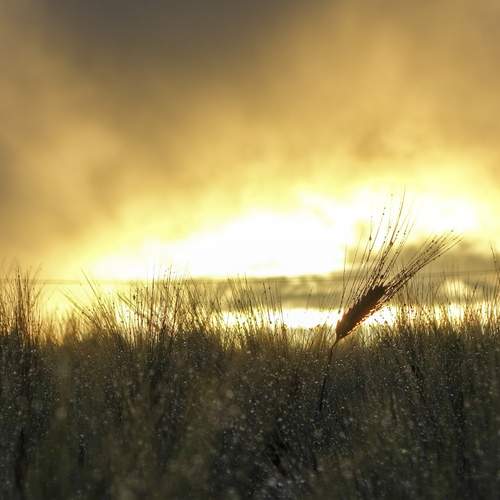 Photo #12104626