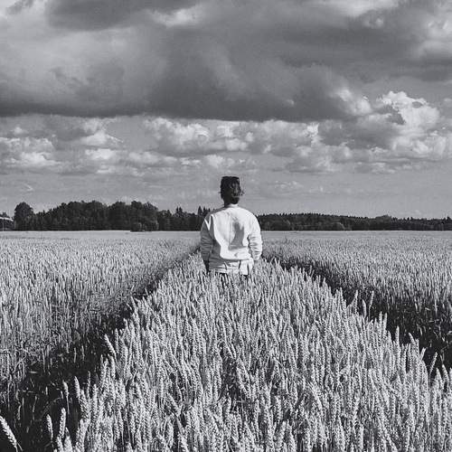 Photo #12104749