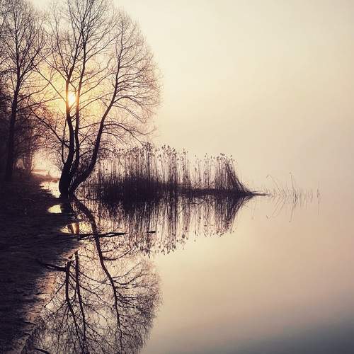 Photo #12105159