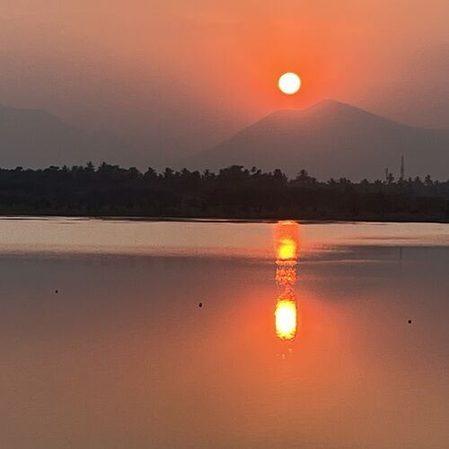 Photo #12105323