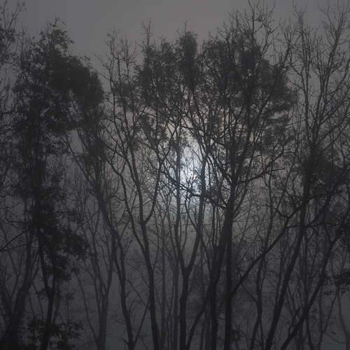 Photo #12105620