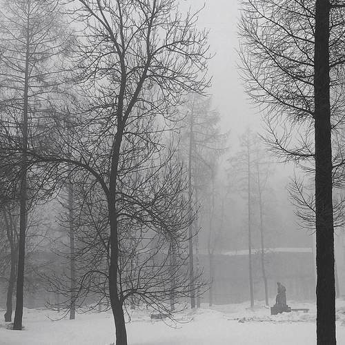 Photo #12105824