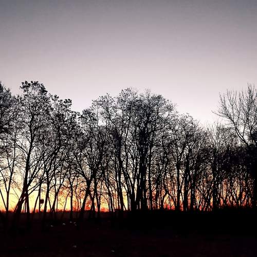 Photo #12105843