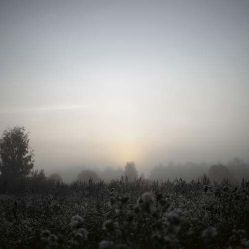 Photo #12105970