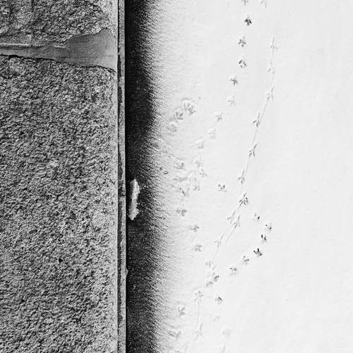 Photo #12106479