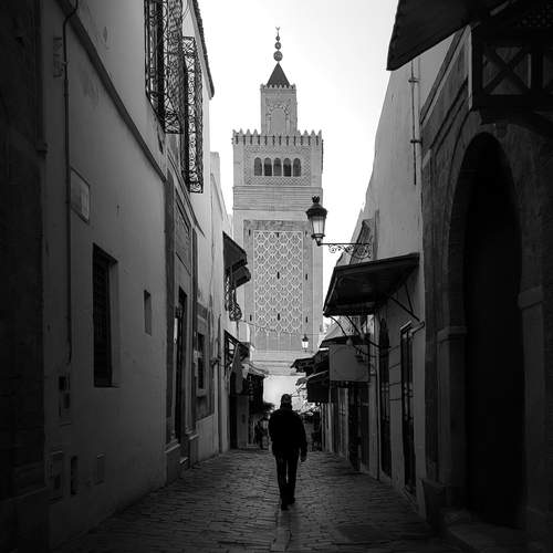 Walking for Zaitouna