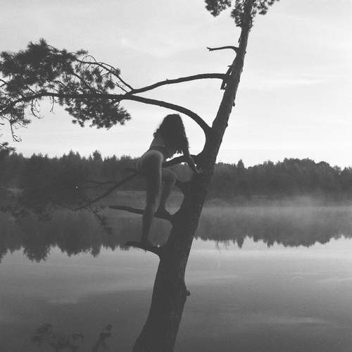 Photo #12107315