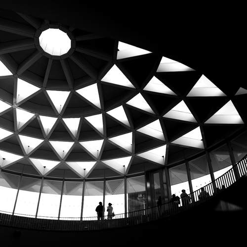 The eye