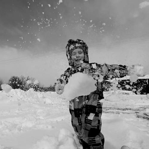 Photo #12107746