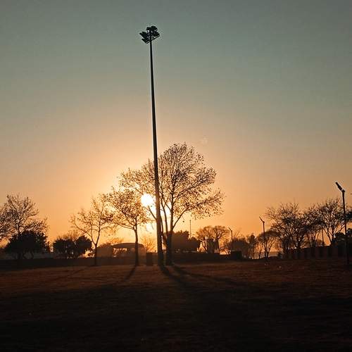 Photo #12107852