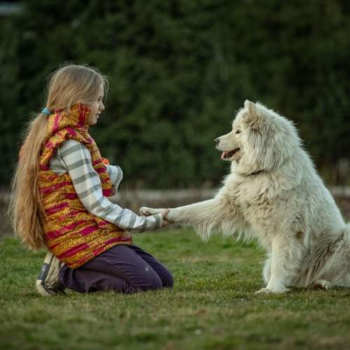 Фотография #12107990