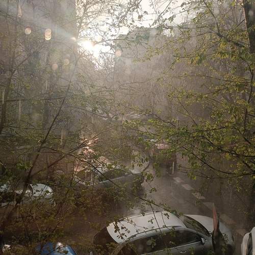 Photo #12108044