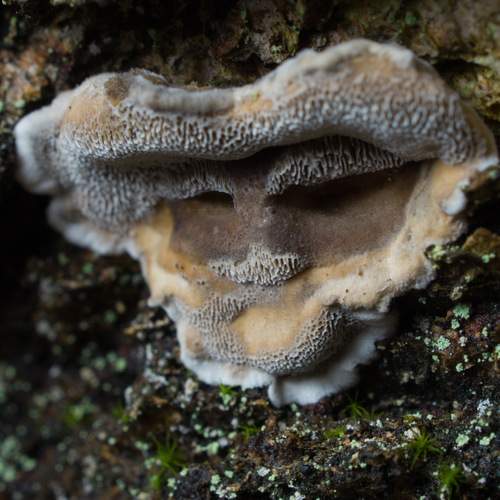 Photo #12108347