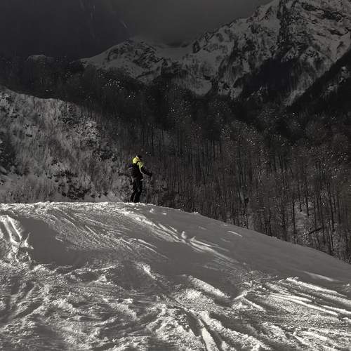 Photo #12108550