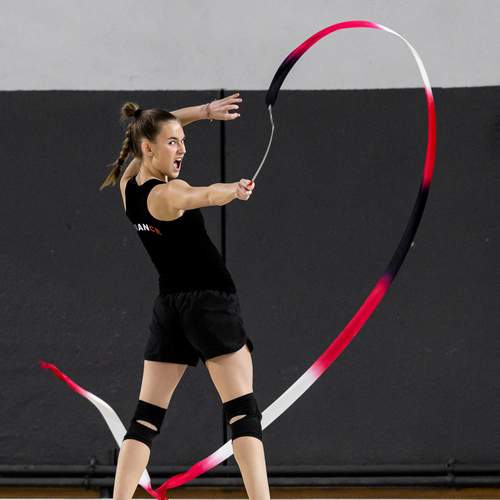 Photo #12108650