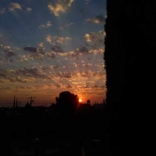 Photo #12108701