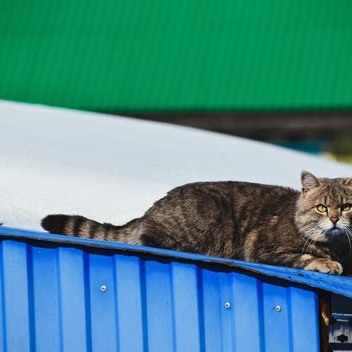 Photo #12108946