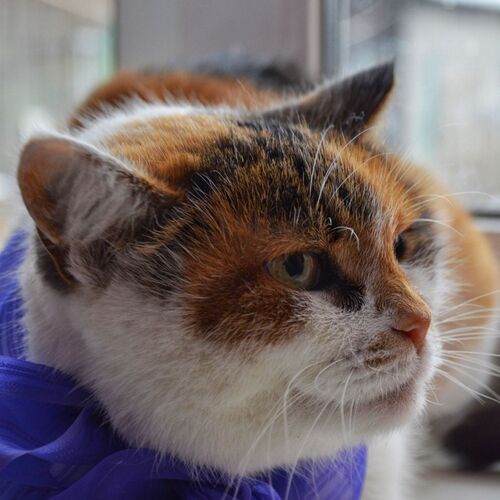 Photo #12109010