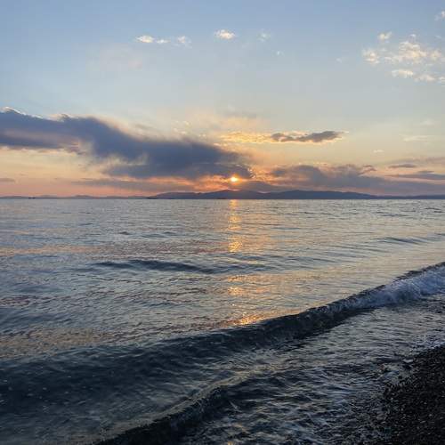 Photo #12109170