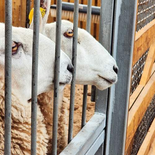 Photo #12109323
