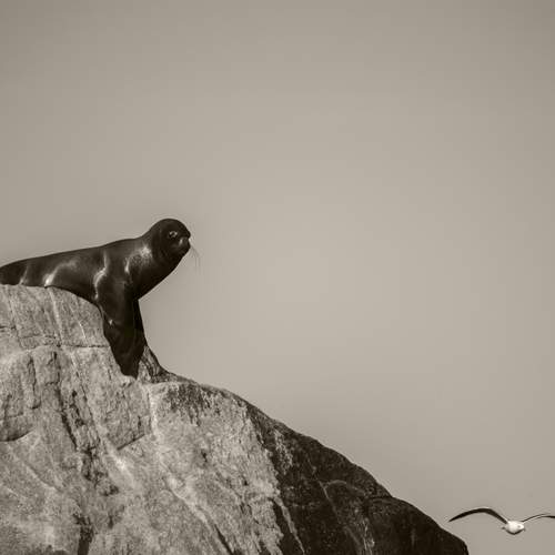 Photo #12109514