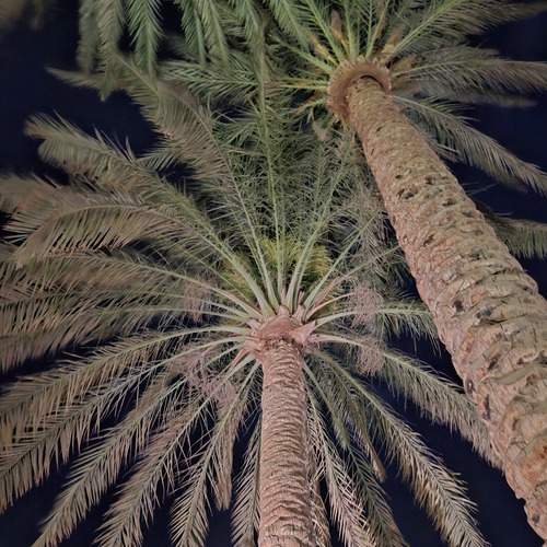 Photo #12109940
