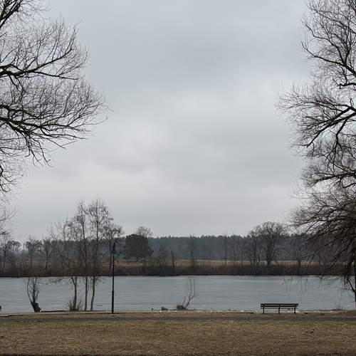 Photo #12110042