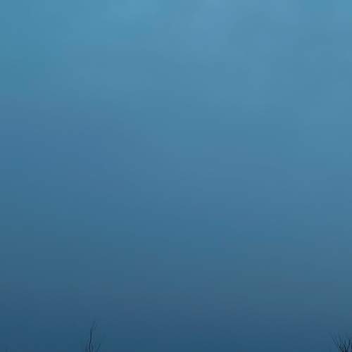 Photo #12110153