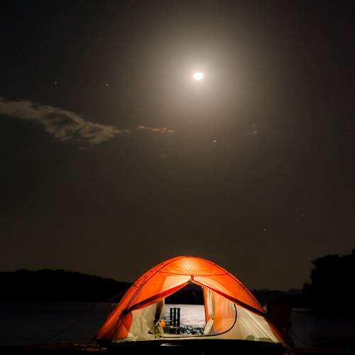 Photo #12110369