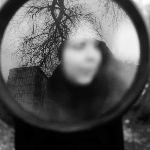 Photo #12110447