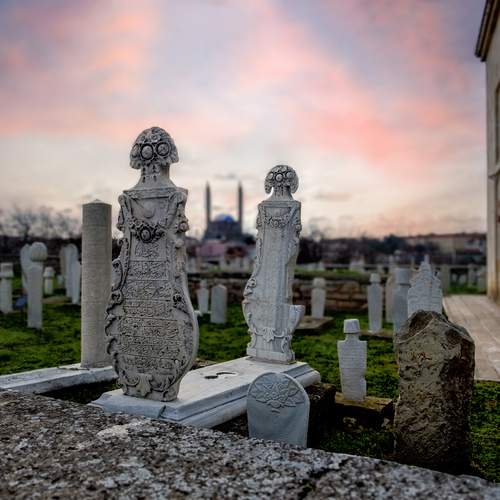 Photo #12110730