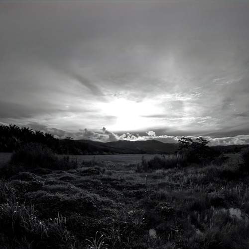 Photo #12110734