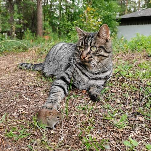 Photo #12110774