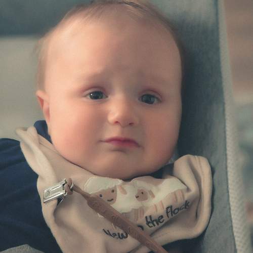 Photo #12110914