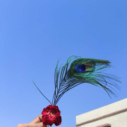 Photo #12111036