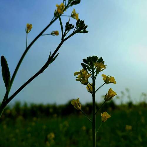 Photo #12111070