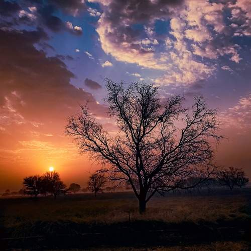 Photo #12111230