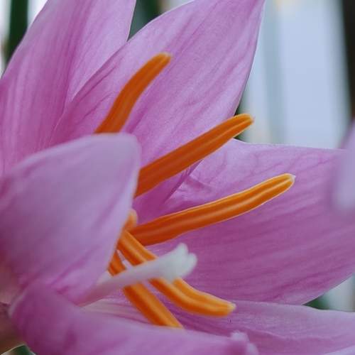 Photo #12111579
