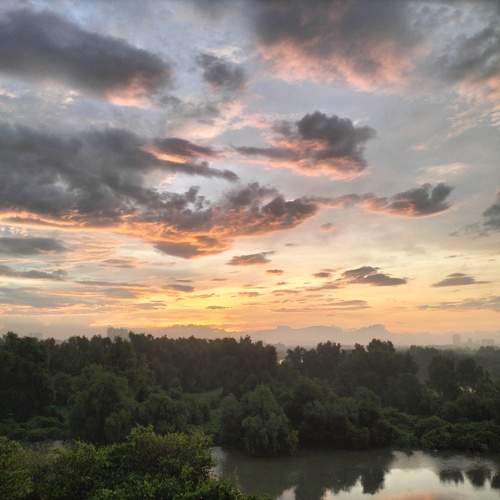 Photo #12111881