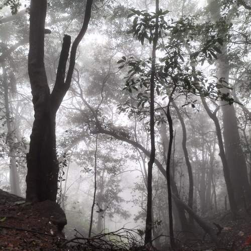 Photo #12111882
