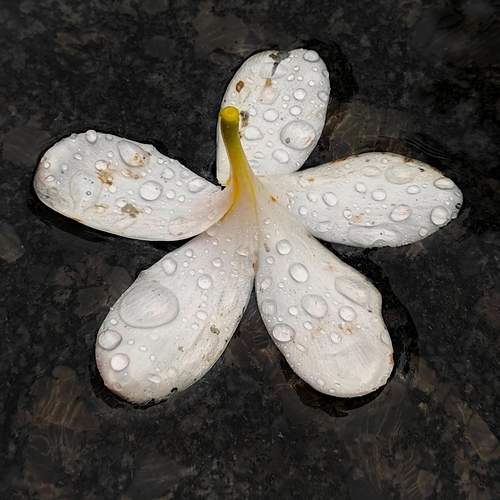 Photo #12112104