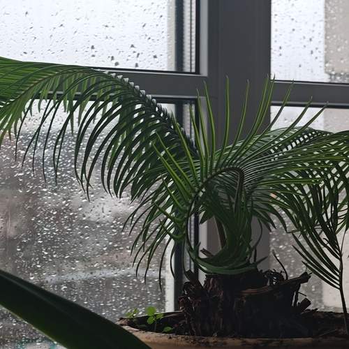 Photo #12112184