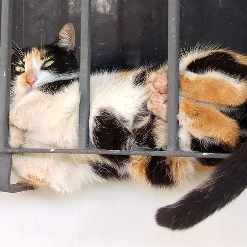 Photo #12112419